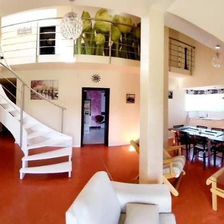 Apartament Nina Skoczów Zewnętrze zdjęcie