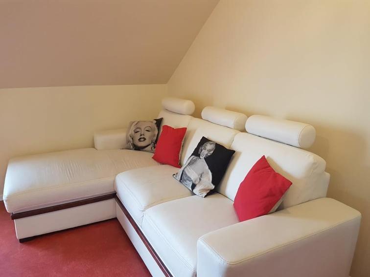 Apartament Nina Skoczów Zewnętrze zdjęcie