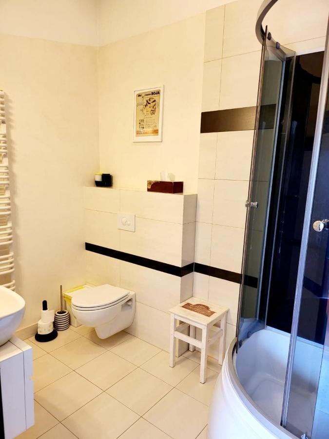 Apartament Nina Skoczów Zewnętrze zdjęcie